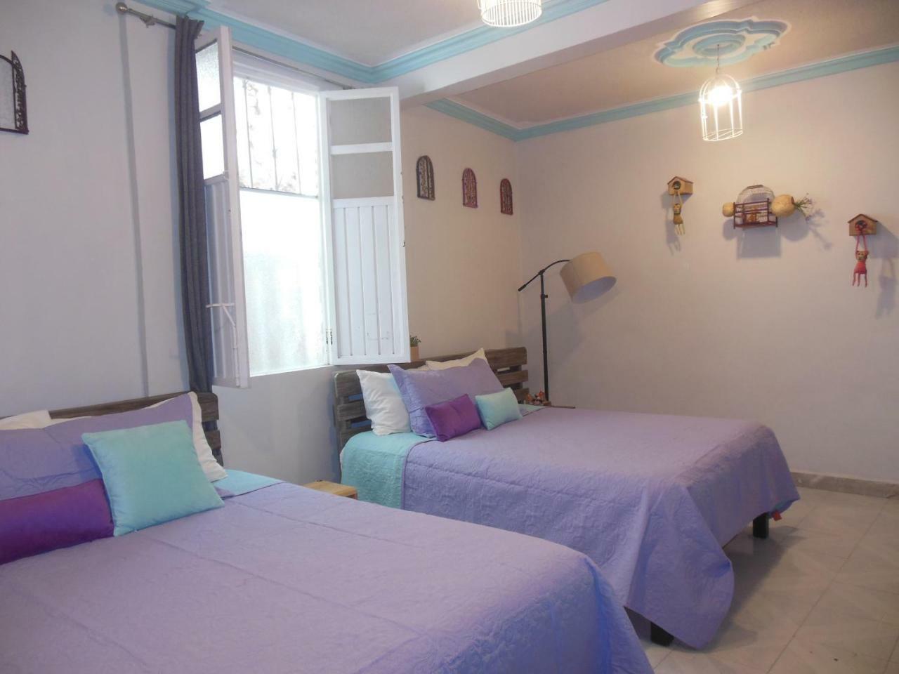 Casa El Ombligo De La Luna Homestay Guanajuato